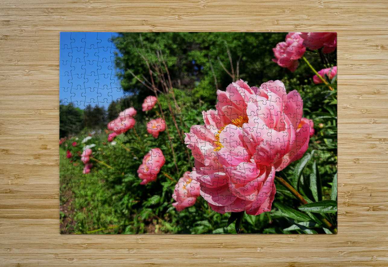 Salmon Peony Row Earthshine Emporium Puzzle printing