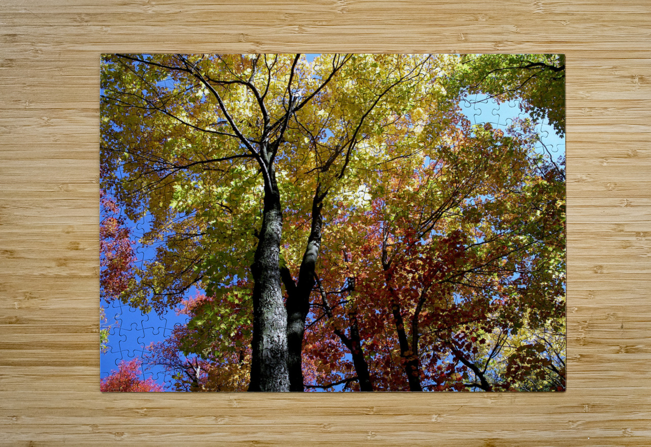 Golden Tree Horizontal Earthshine Emporium Puzzle printing