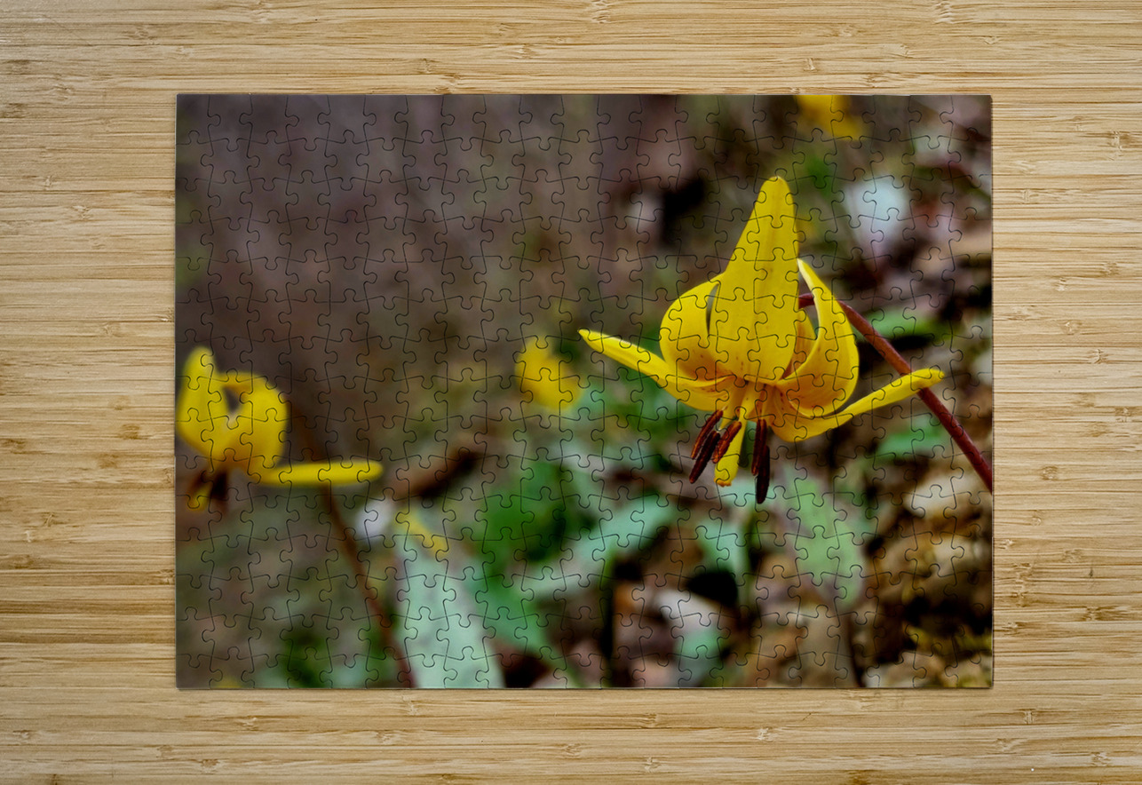 Trout Lilies Earthshine Emporium Puzzle printing