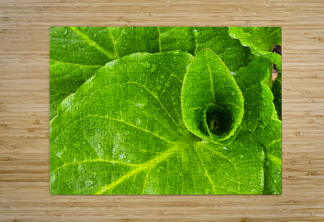 Skunk Cabbage Earthshine Emporium Puzzle printing