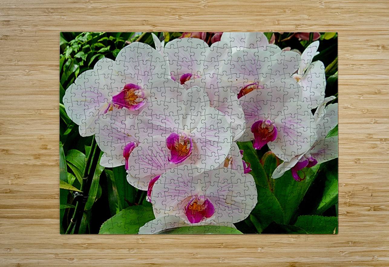 Orchid Cluster Earthshine Emporium Puzzle printing