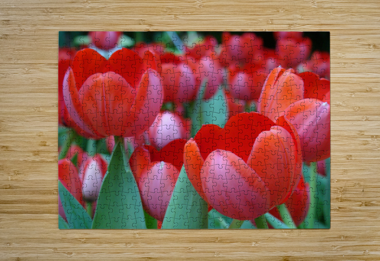 Red Tulips Earthshine Emporium Puzzle printing