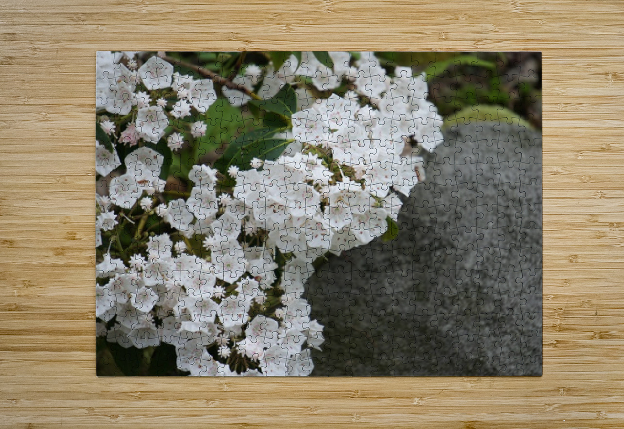 White Mountain Laurel Earthshine Emporium Puzzle printing