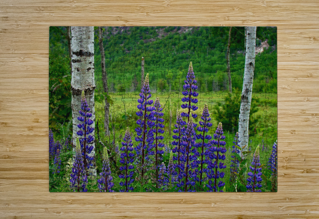 Maine Lupines Earthshine Emporium Puzzle printing