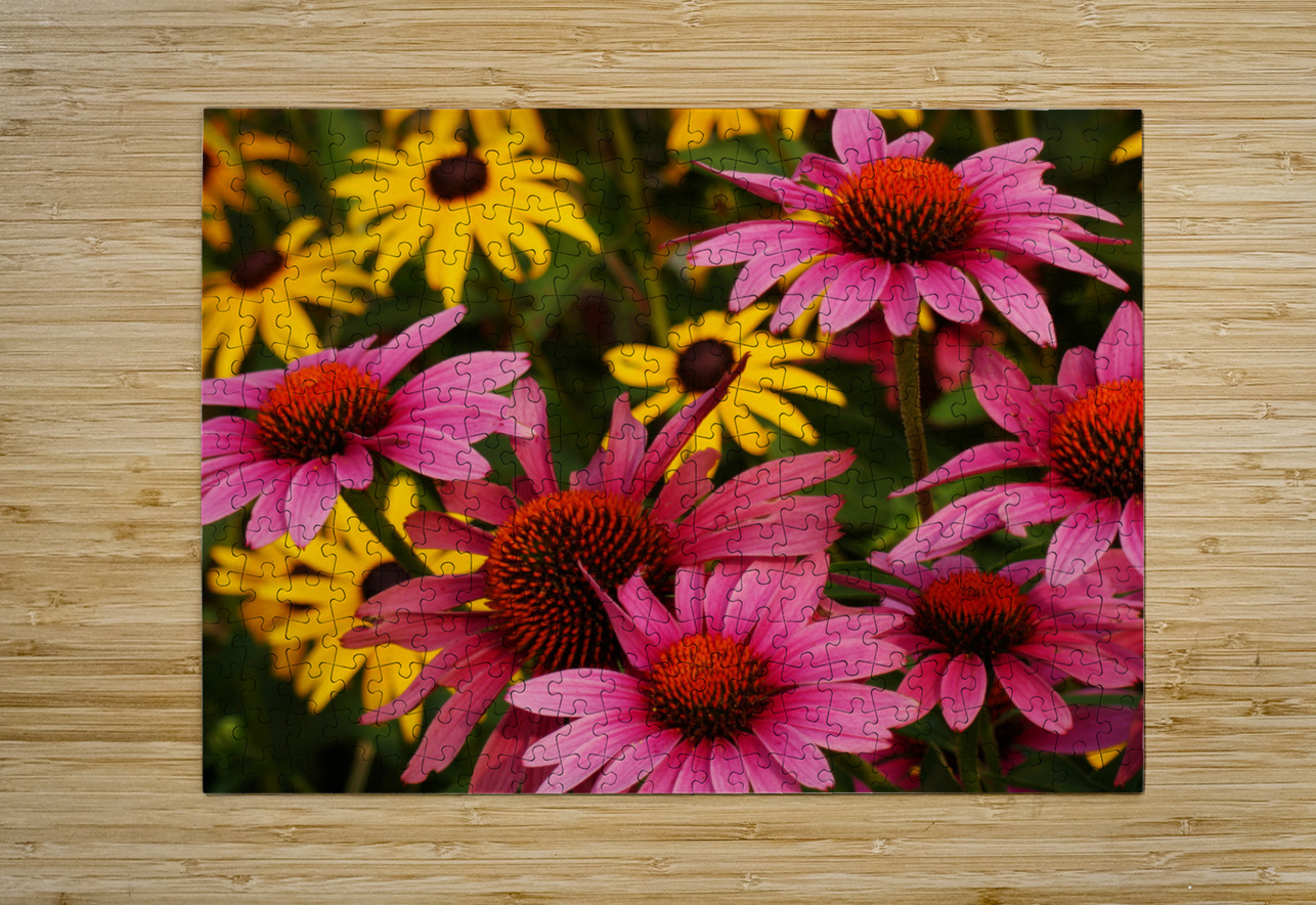 Echinacea And Rudbeckia Earthshine Emporium Puzzle printing