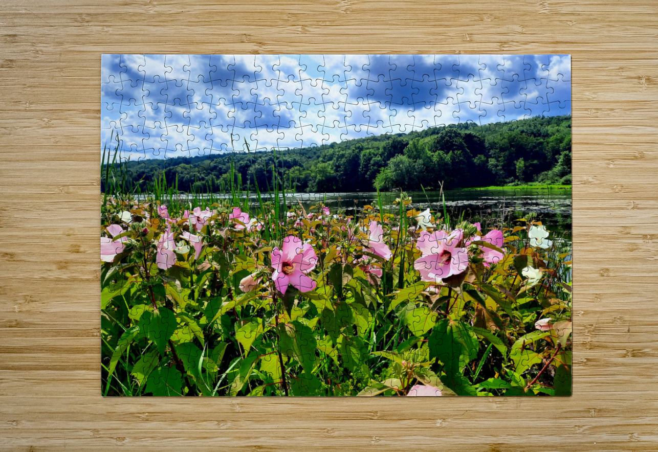 Swamp Mallow At Moraine State Park Earthshine Emporium Puzzle printing