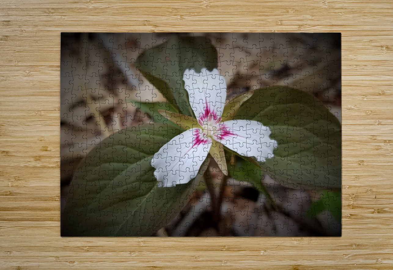 Painted Trillium Earthshine Emporium Puzzle printing