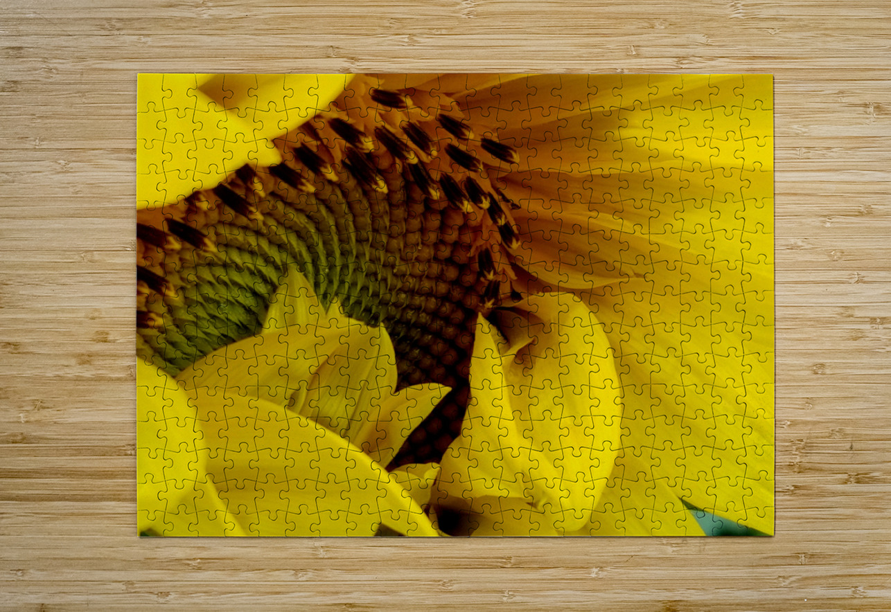 Unfurling Sunflower Earthshine Emporium Puzzle printing
