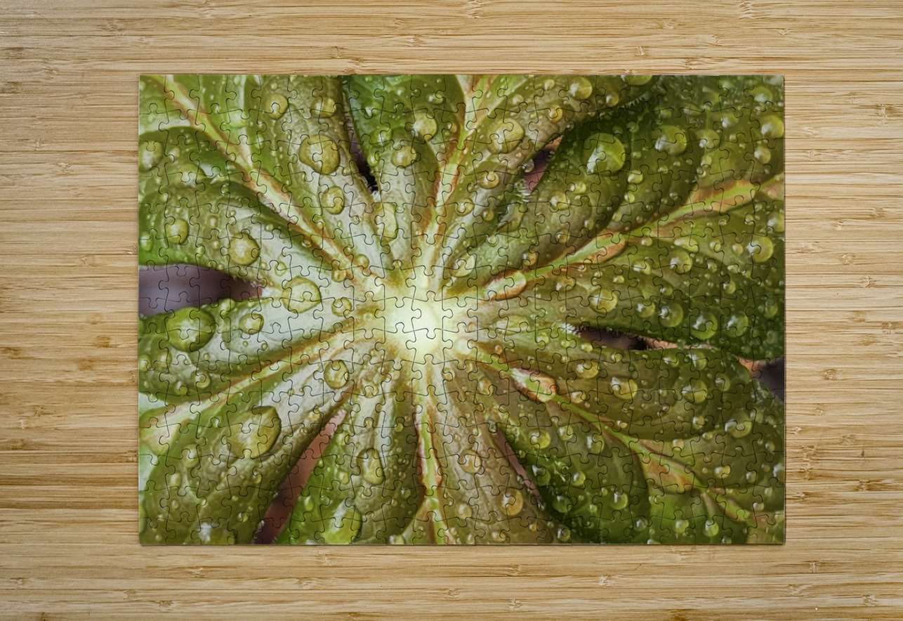 Raindrops On Mayapple Earthshine Emporium Puzzle printing