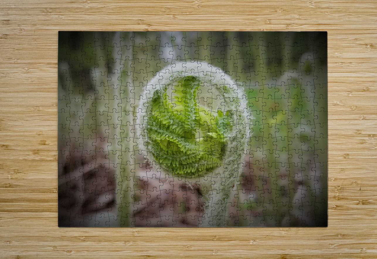 Fiddlehead Earthshine Emporium Puzzle printing