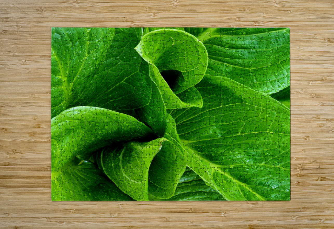 Skunk Cabbage Furls Earthshine Emporium Puzzle printing