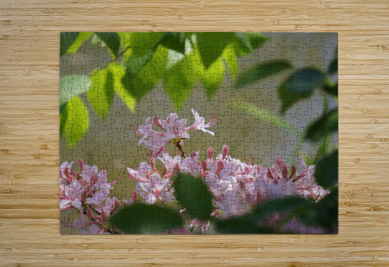 Native Azalea 2 Earthshine Emporium Puzzle printing