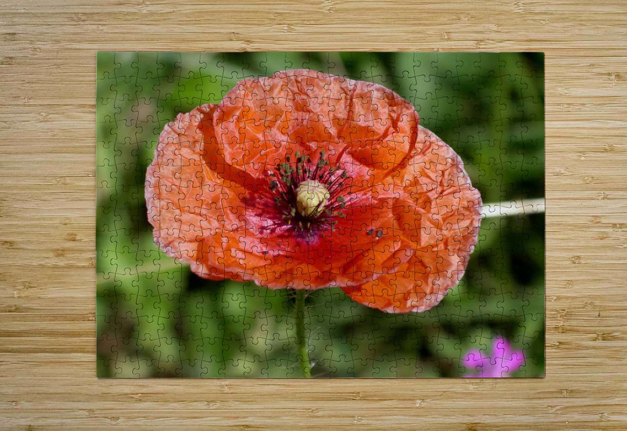 Poppy Earthshine Emporium Puzzle printing