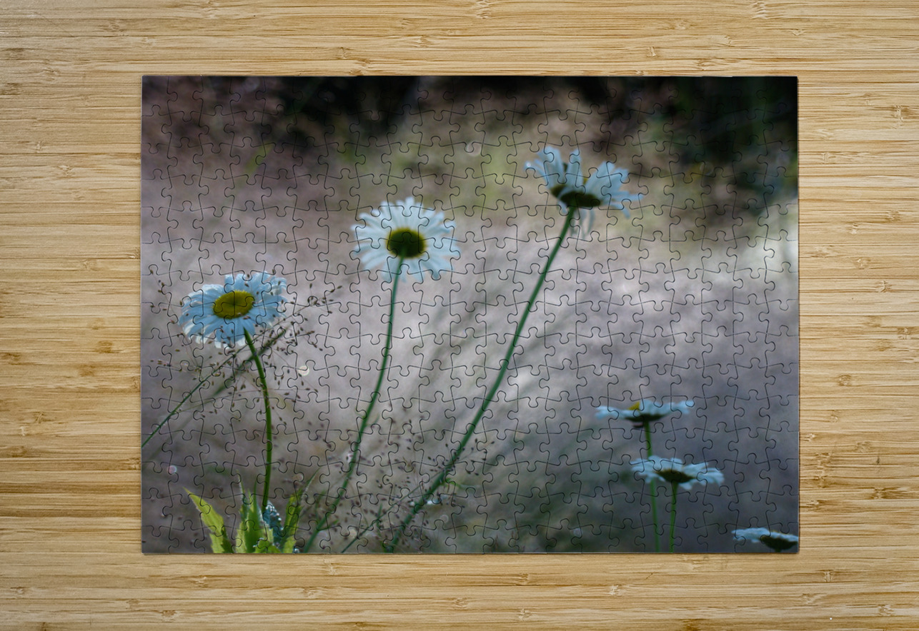 Daisies Earthshine Emporium Puzzle printing