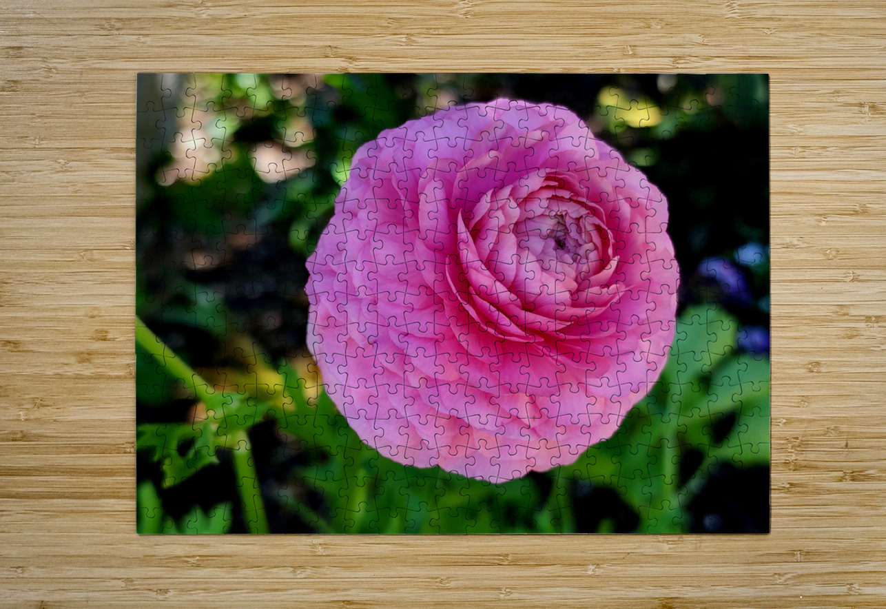 Ranunculus Earthshine Emporium Puzzle printing
