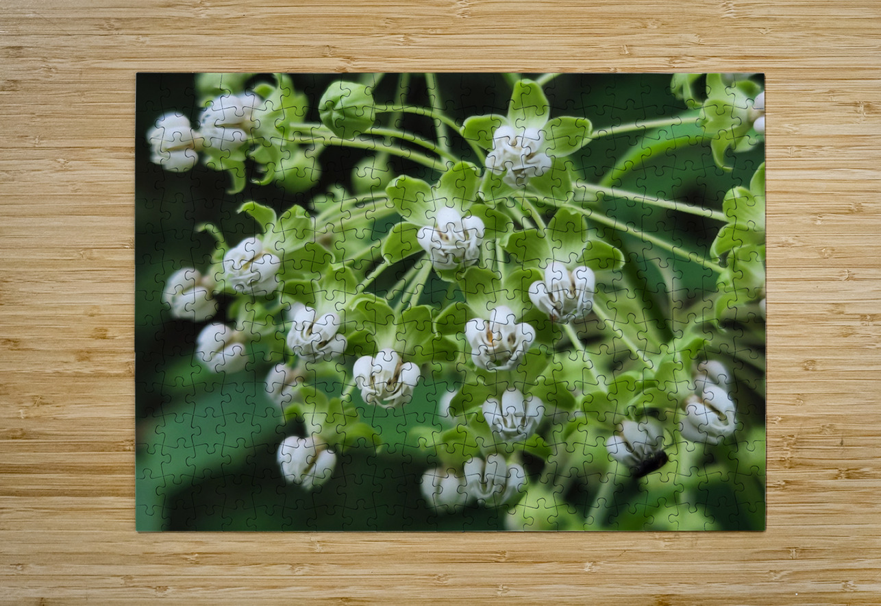 Poke Milkweed Earthshine Emporium Puzzle printing