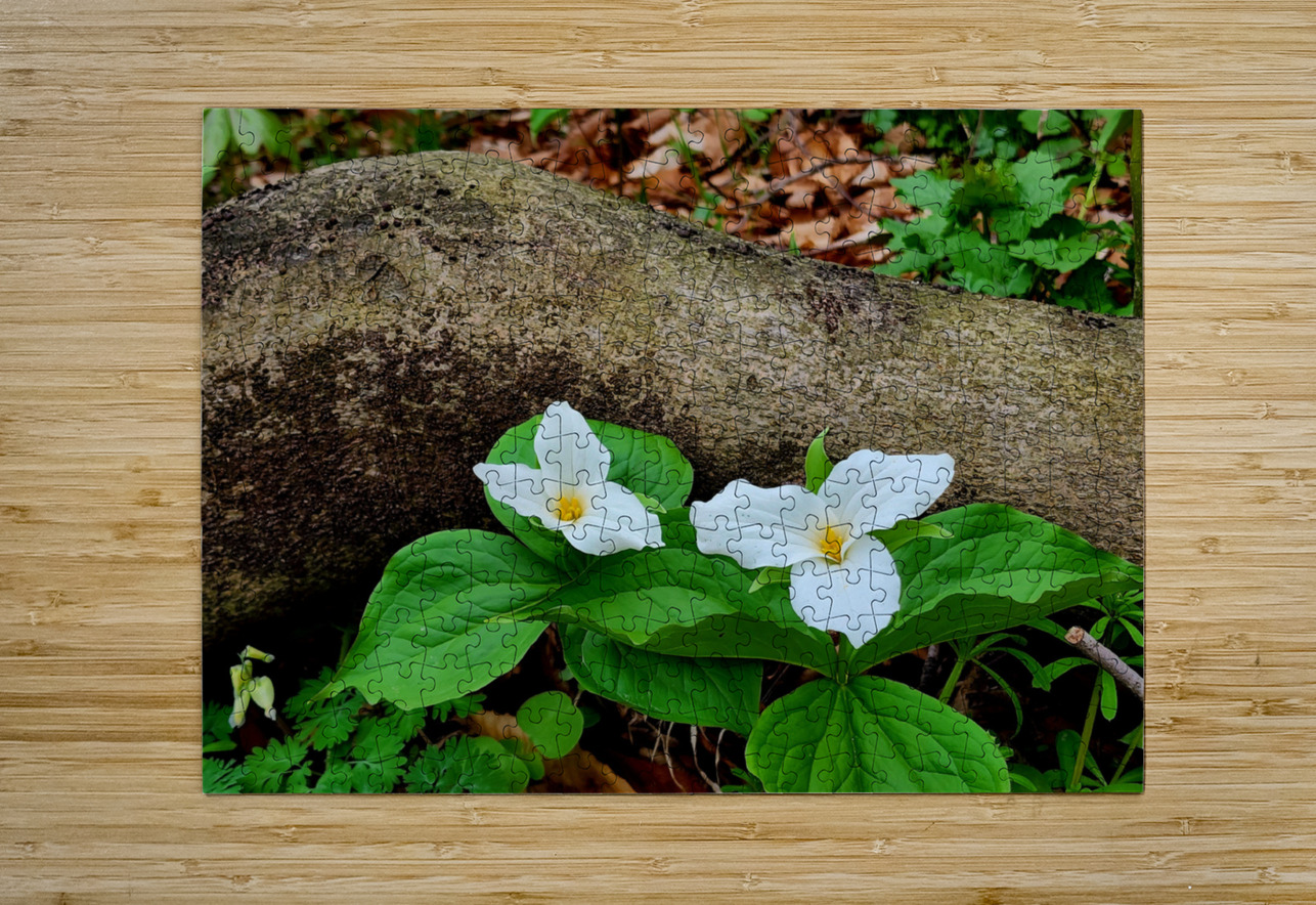 Trillium Duo Earthshine Emporium Puzzle printing