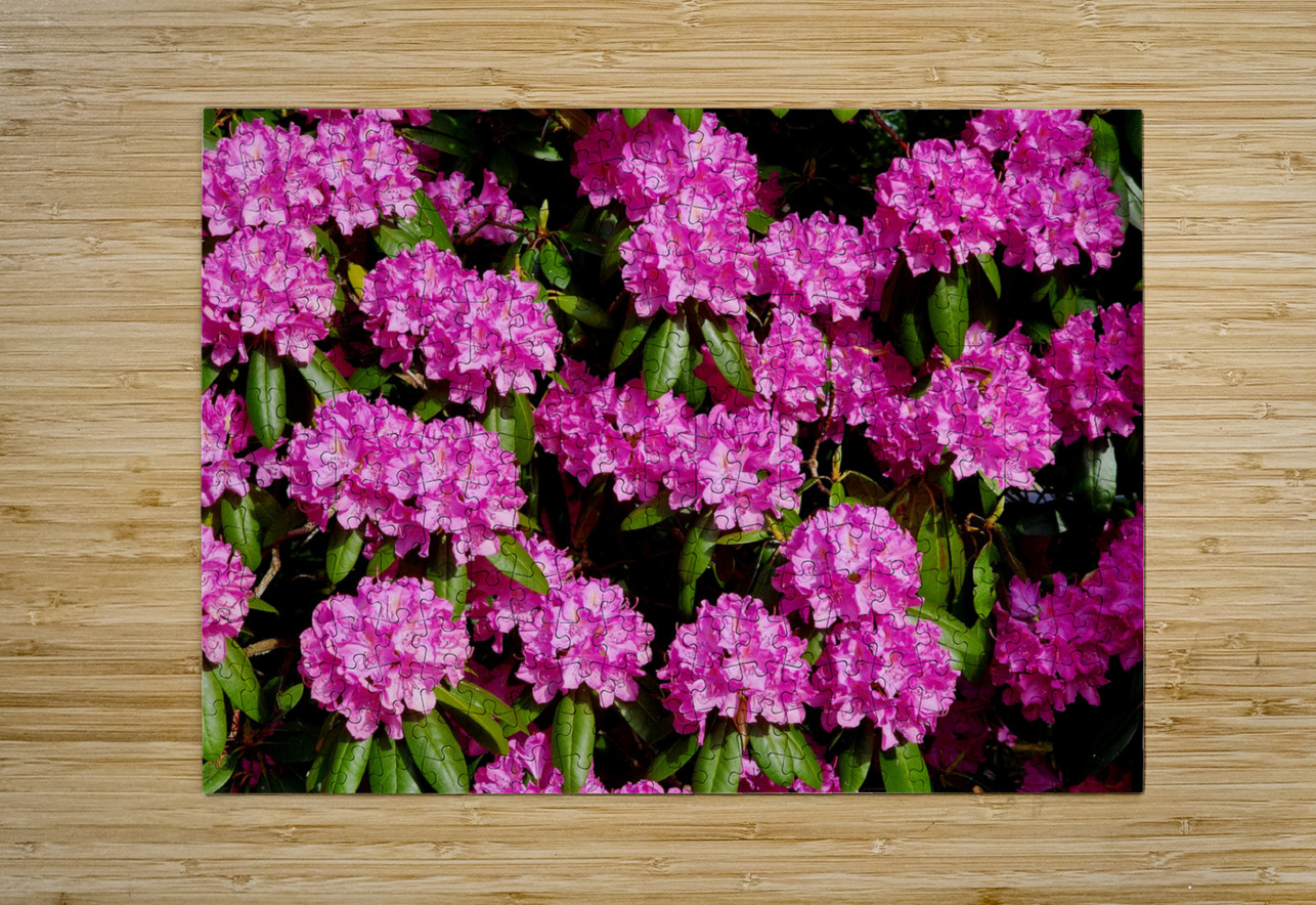 Rhododendron Earthshine Emporium Puzzle printing