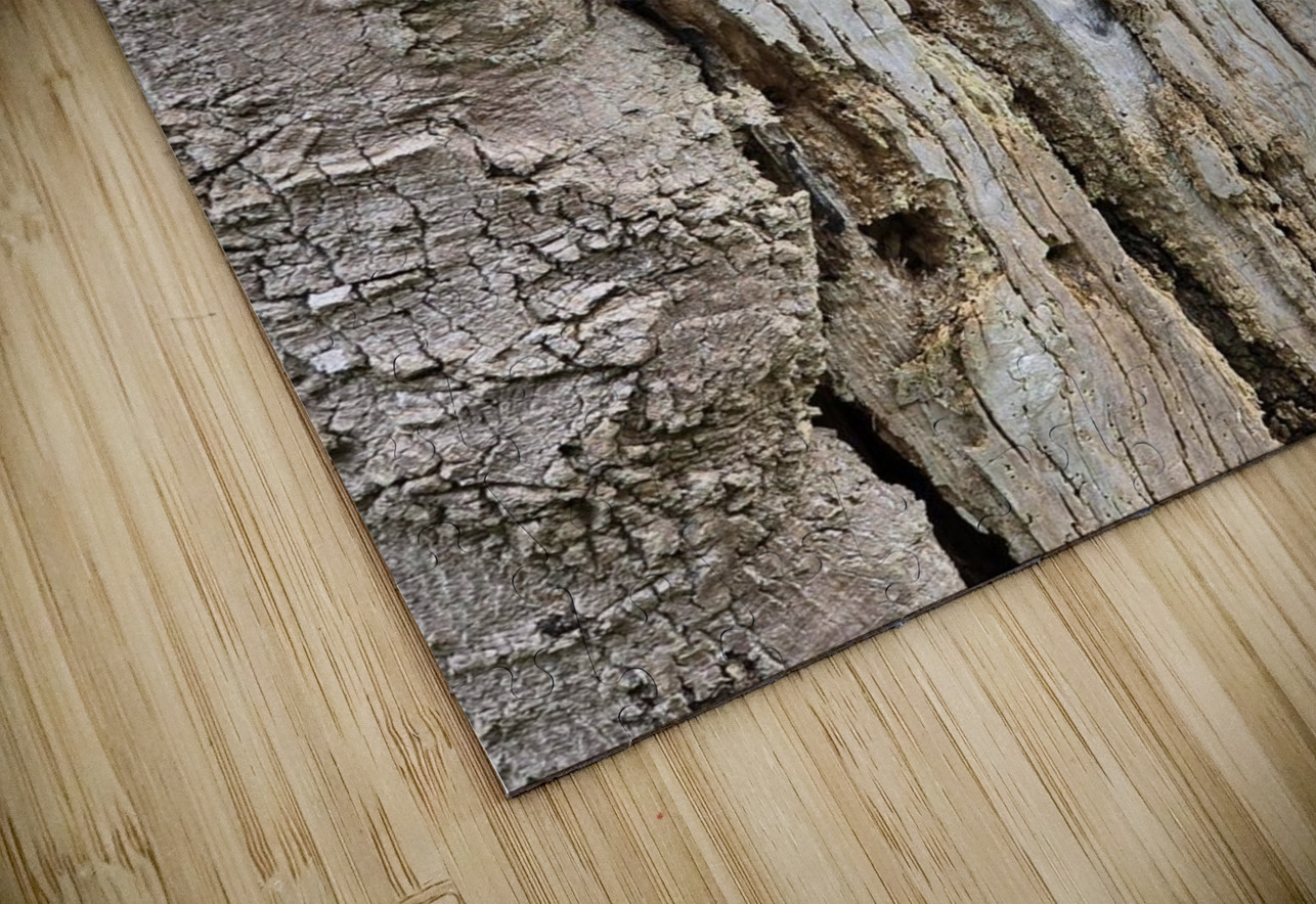 Faces Of The Smokies 4 Earthshine Emporium Puzzle