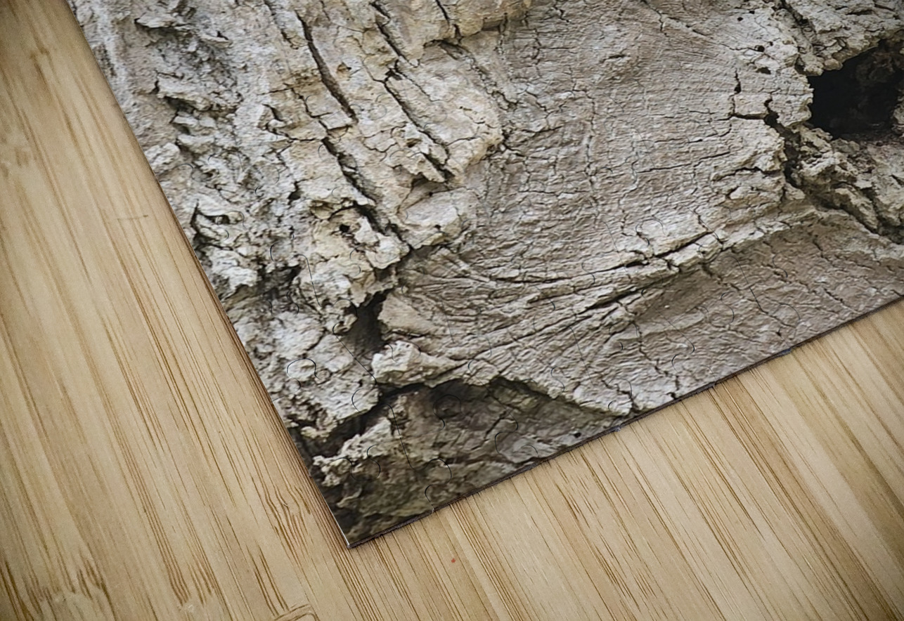 Faces Of The Smokies 3 Earthshine Emporium Puzzle