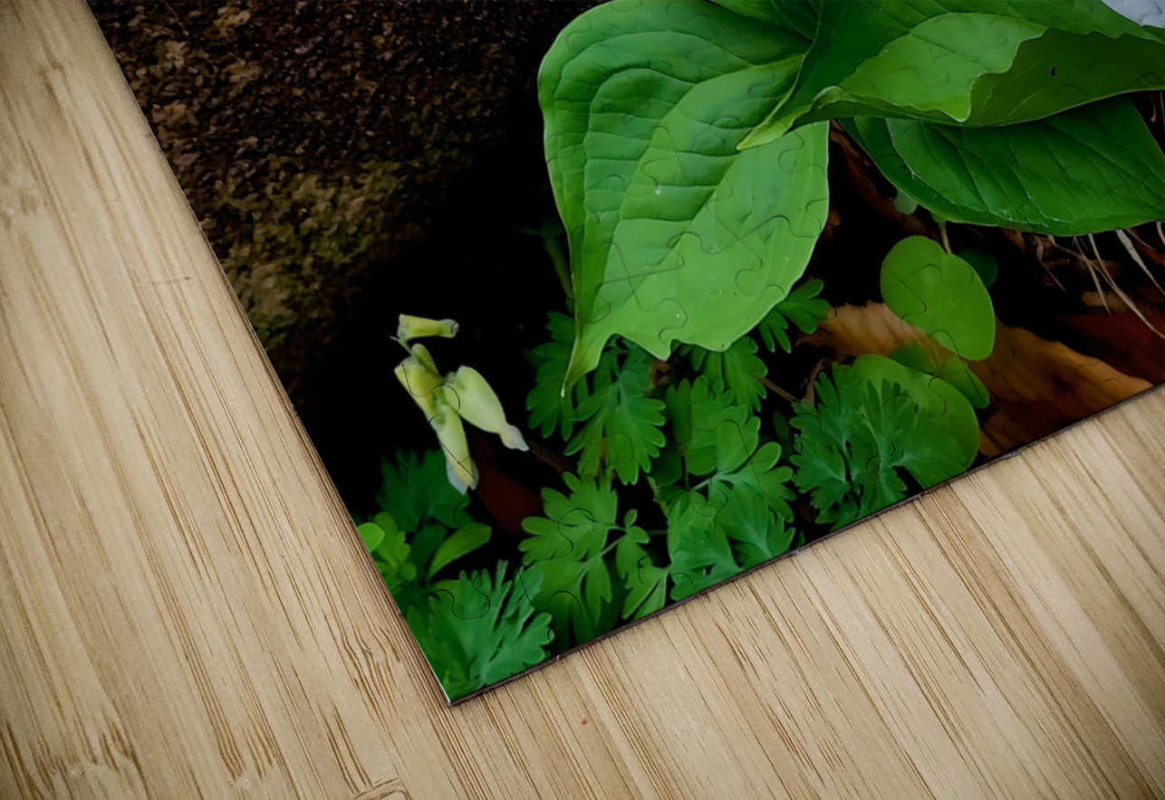 Trillium Duo Earthshine Emporium Puzzle