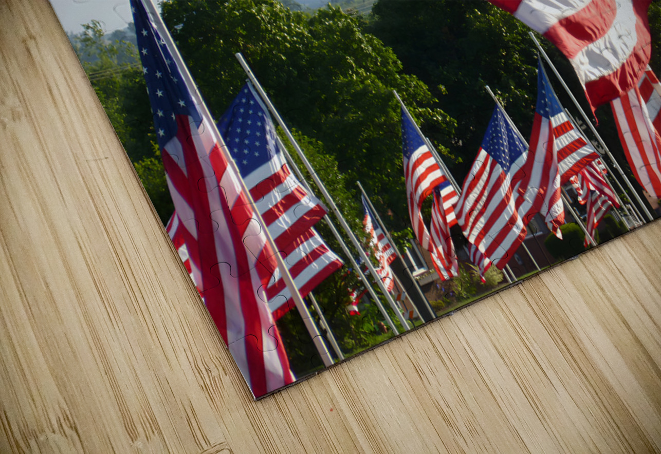 Flags Earthshine Emporium Puzzle