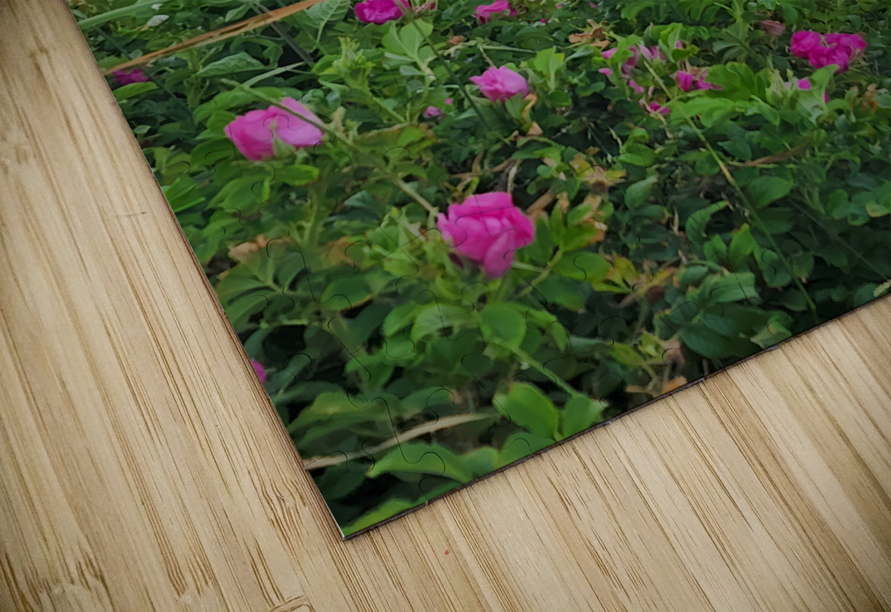 Lighthouse Earthshine Emporium Puzzle