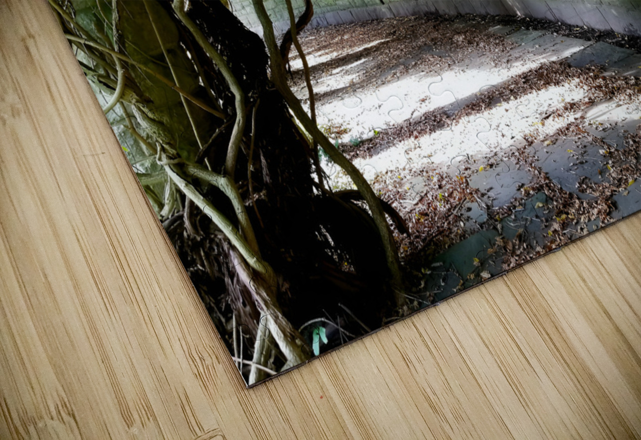 Mt Assisi Garden 1 Earthshine Emporium Puzzle