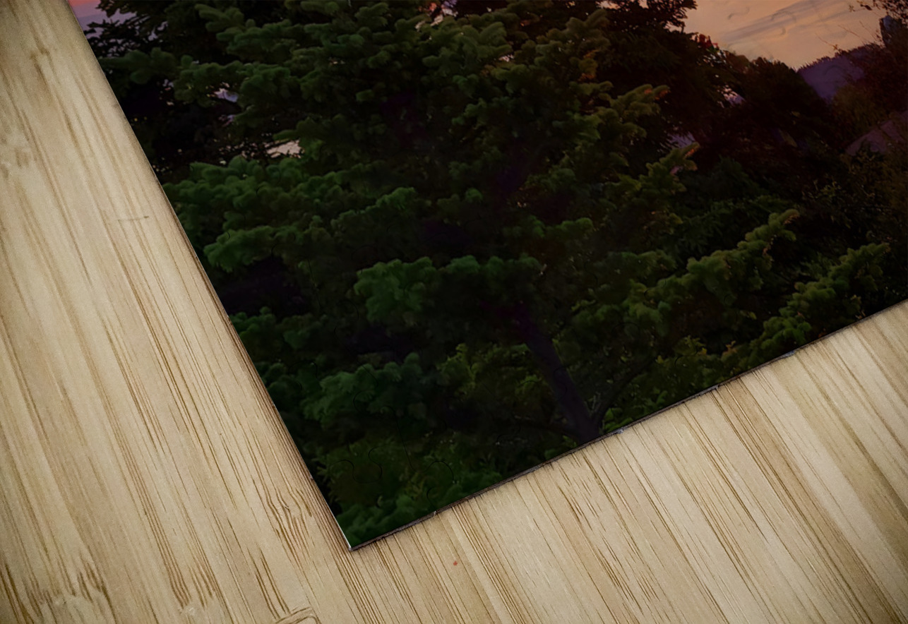 Acadia Sunrise Earthshine Emporium Puzzle