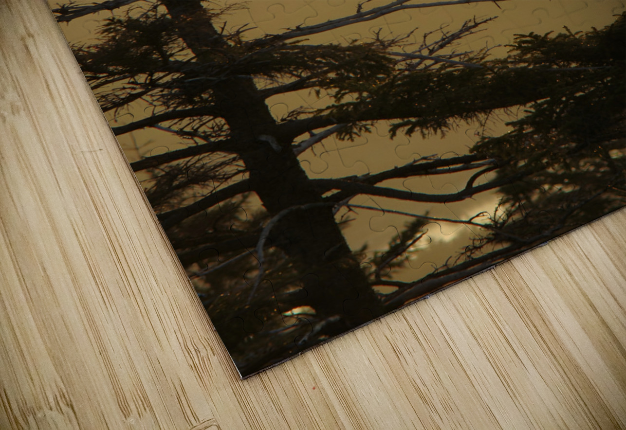 Golden Sunrise Earthshine Emporium Puzzle