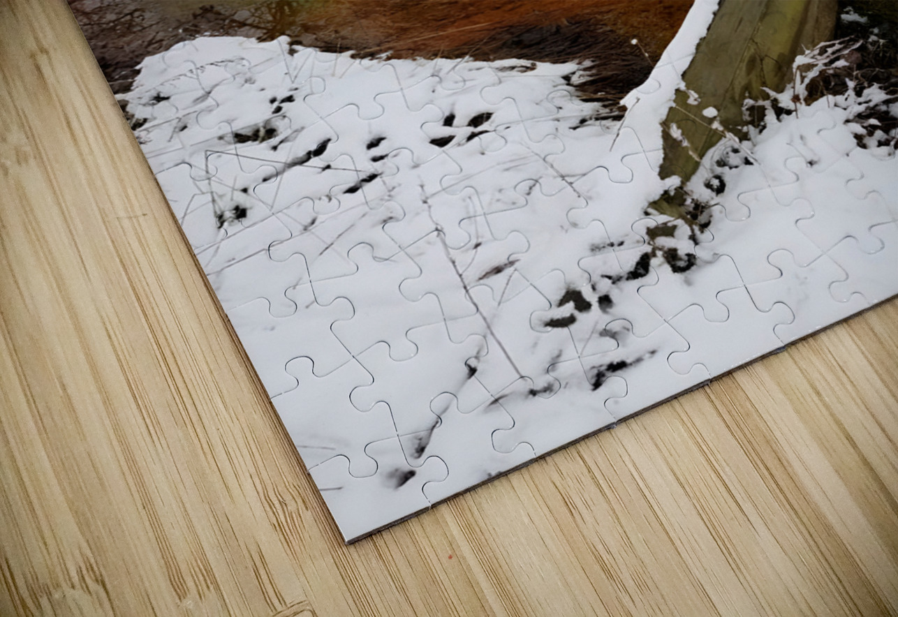 Reitz  2 Lower AMD Earthshine Emporium Puzzle