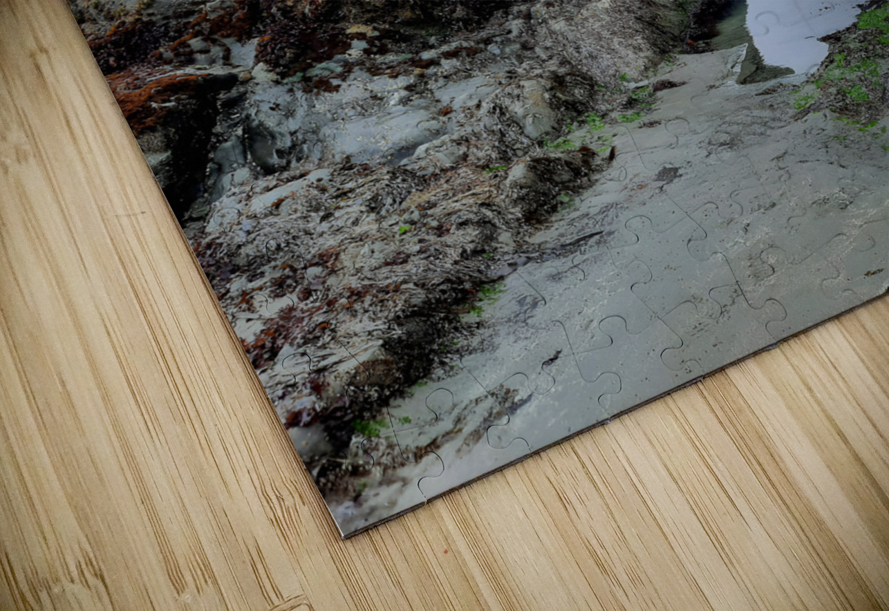 California Coast Earthshine Emporium Puzzle