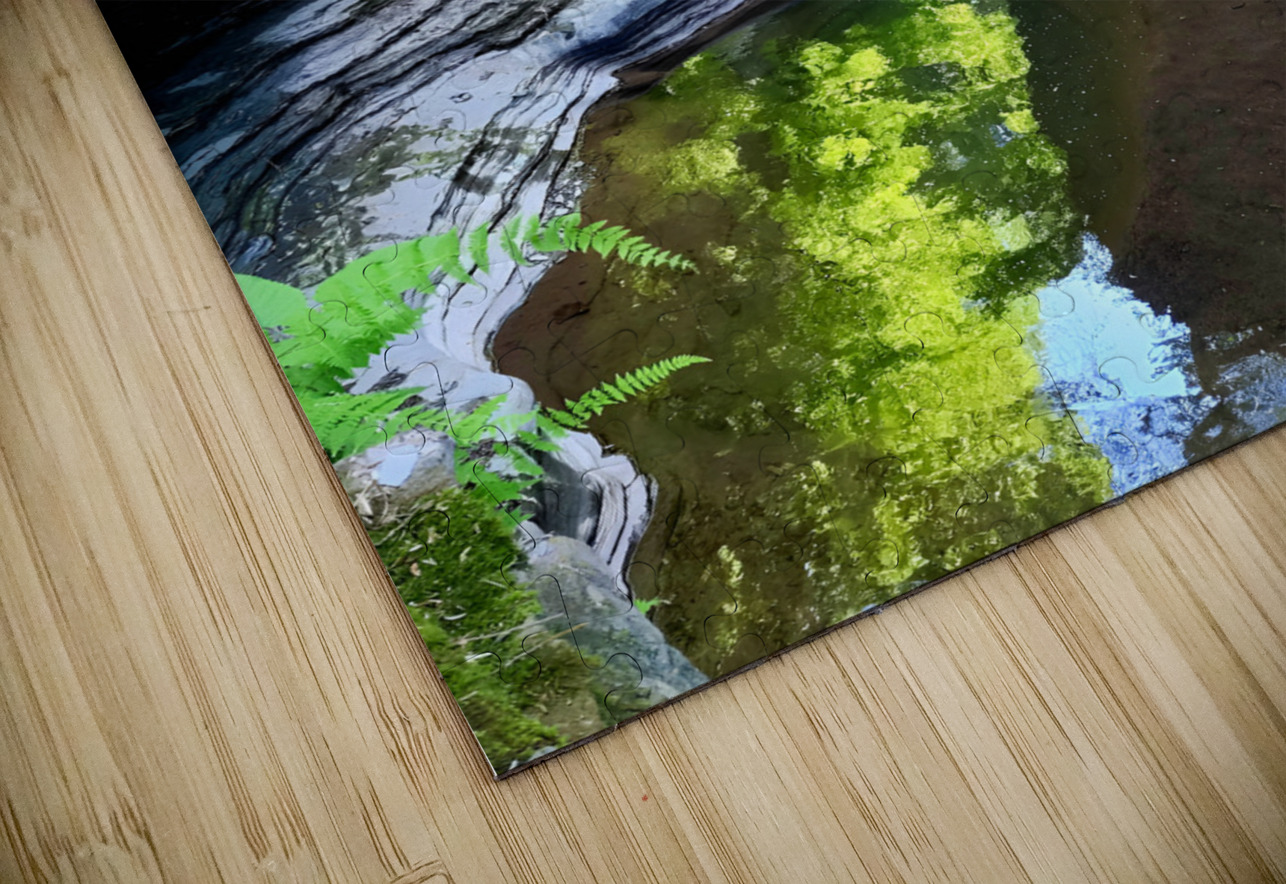 Watkins Glen State Park Earthshine Emporium Puzzle