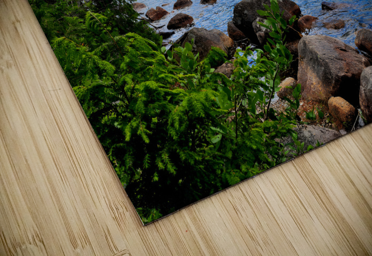 Acadia Landscape Earthshine Emporium Puzzle