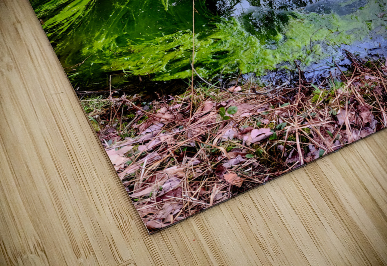 Reitz  2 AMD Earthshine Emporium Puzzle