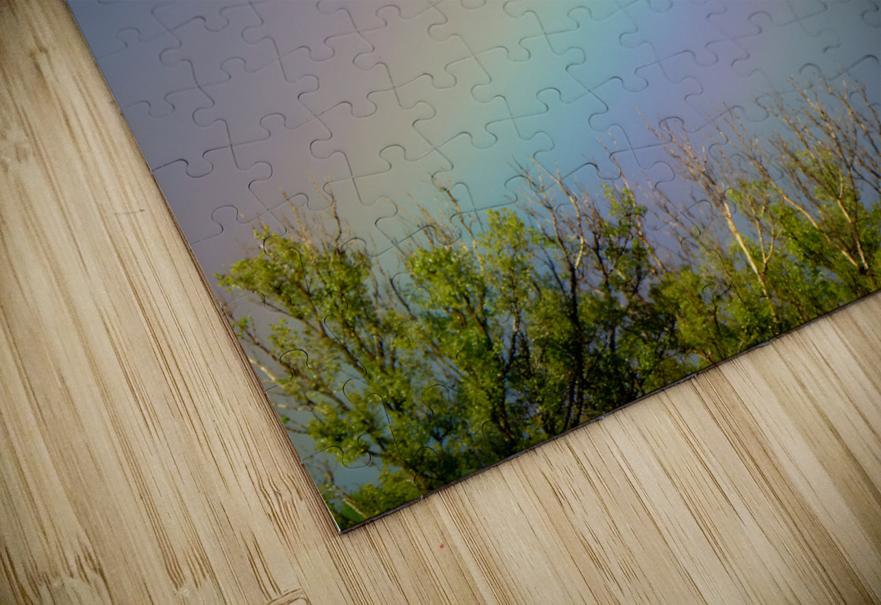 Rainbow Earthshine Emporium Puzzle