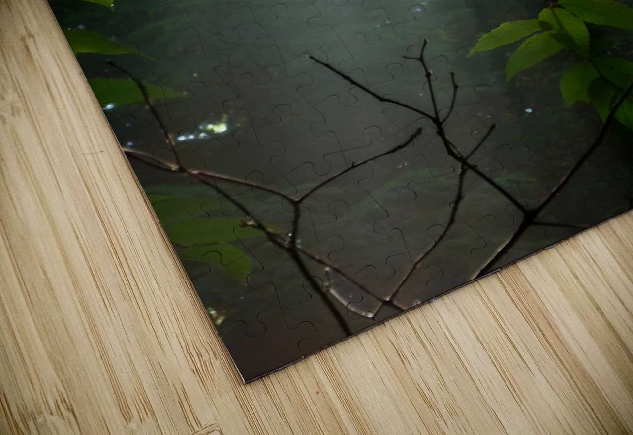 Beech Trees Earthshine Emporium Puzzle