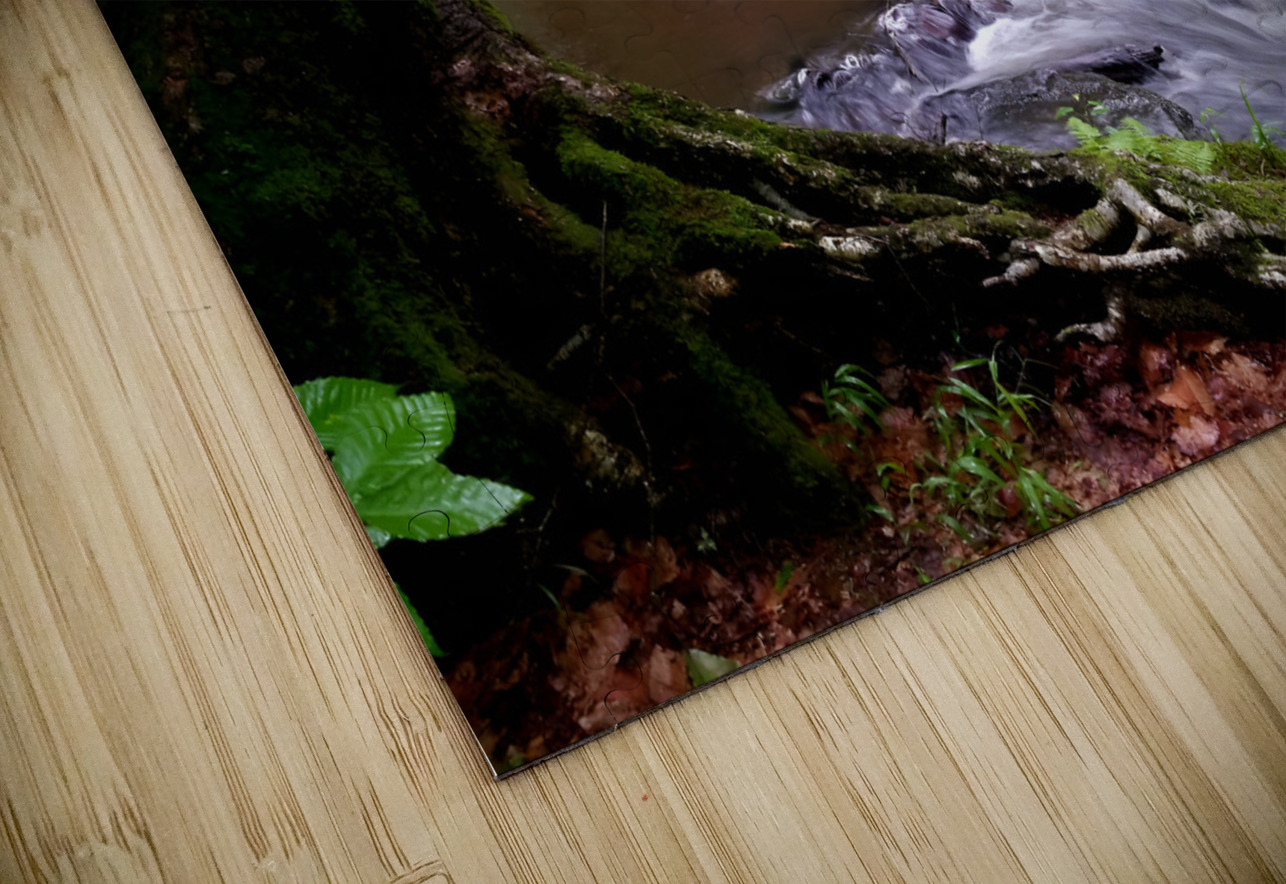 Hemlock Stream Earthshine Emporium Puzzle