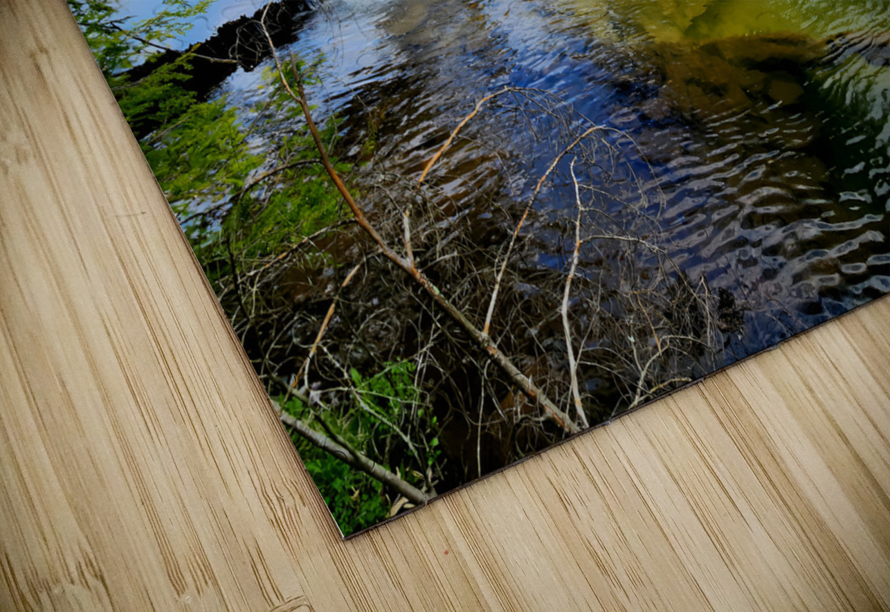 Spring At Clear Shade Creek Earthshine Emporium Puzzle