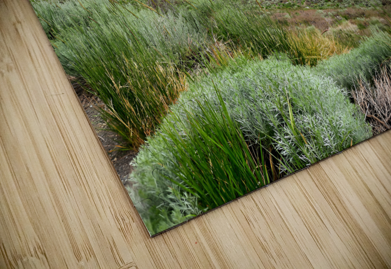 Sierra Nevada Earthshine Emporium Puzzle