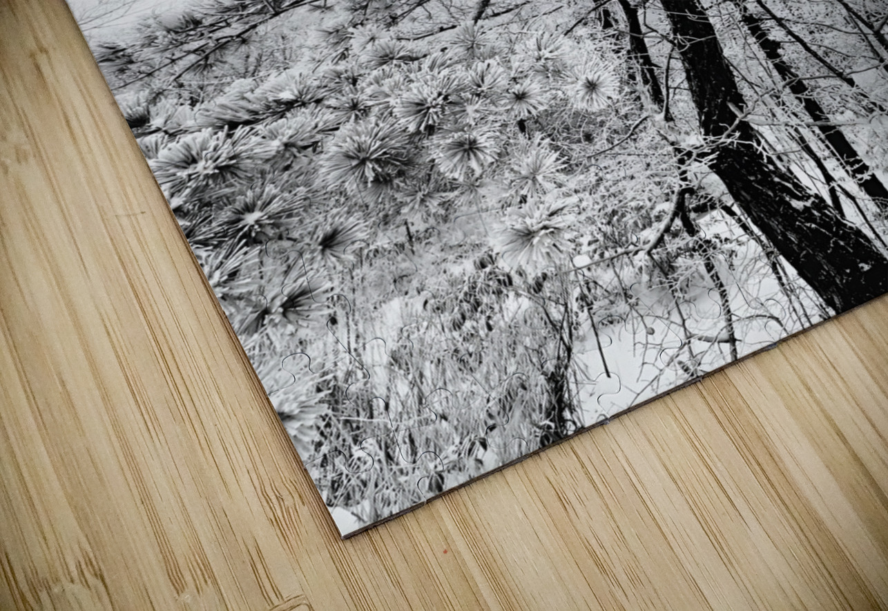 Snowy White Pine Earthshine Emporium Puzzle
