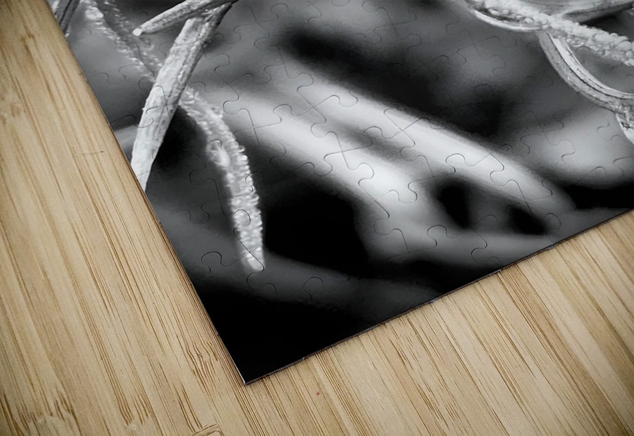 Natural Curl Earthshine Emporium Puzzle