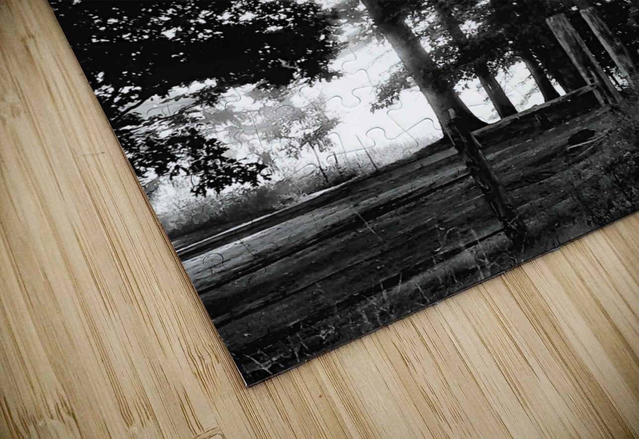 Misty Morning Rays Earthshine Emporium Puzzle