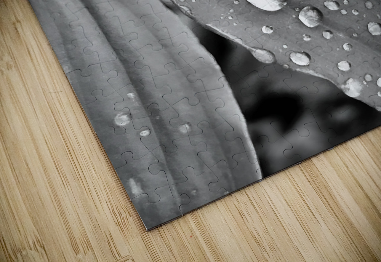 Raindrops Earthshine Emporium Puzzle