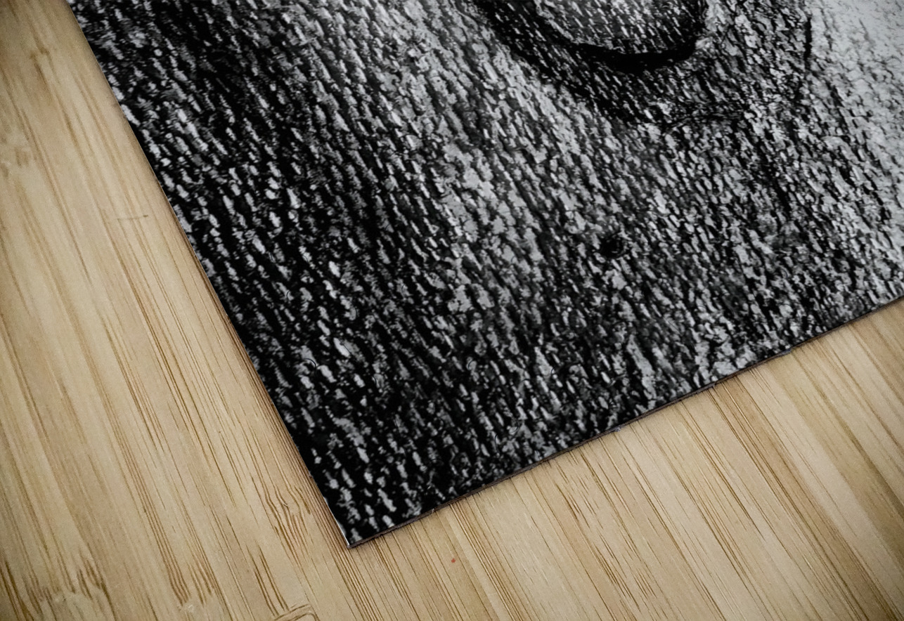 Botanical Shapes Earthshine Emporium Puzzle