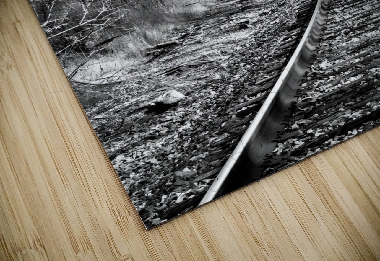 Railroad Earthshine Emporium Puzzle