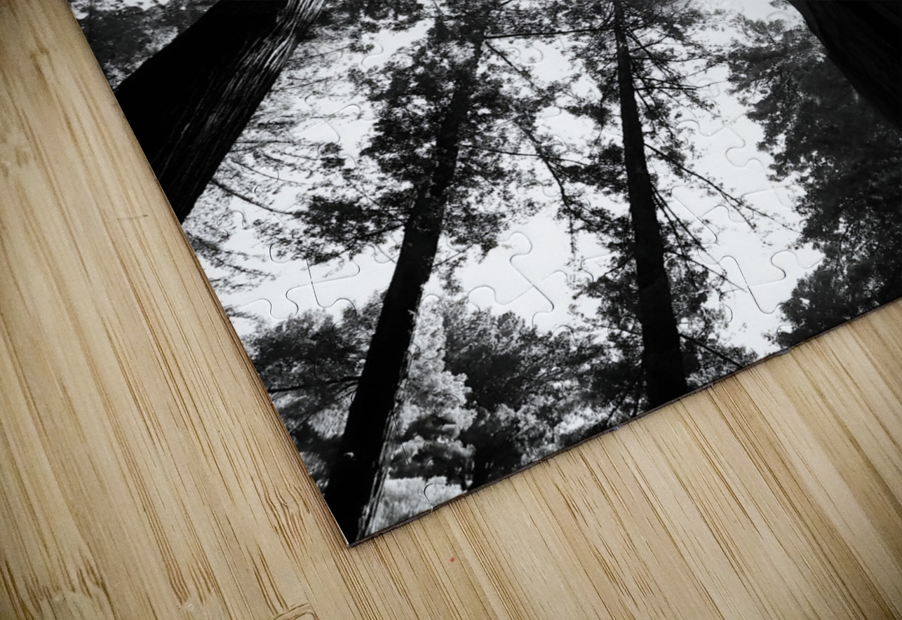 Redwoods Earthshine Emporium Puzzle