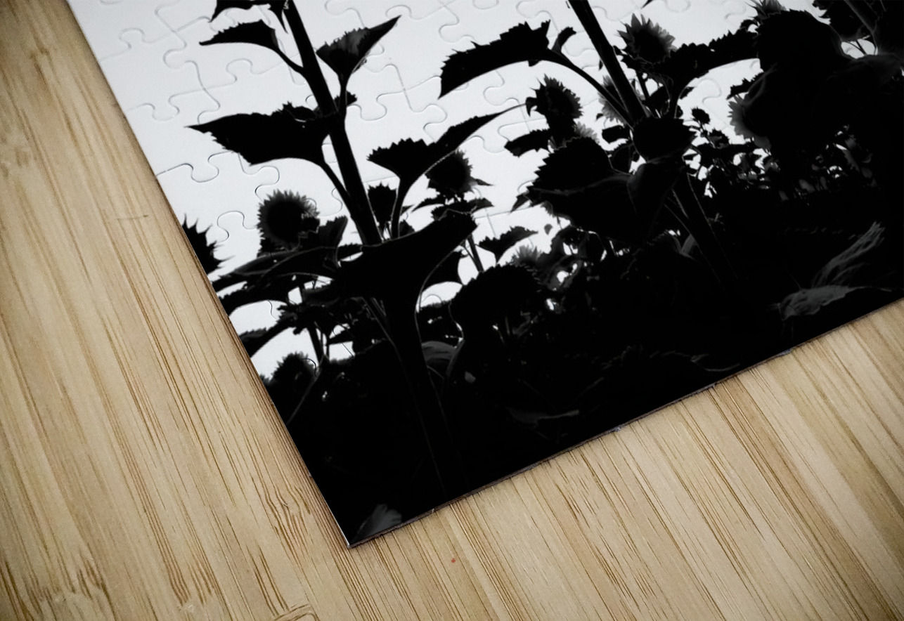 Sunflower Silhouette Earthshine Emporium Puzzle