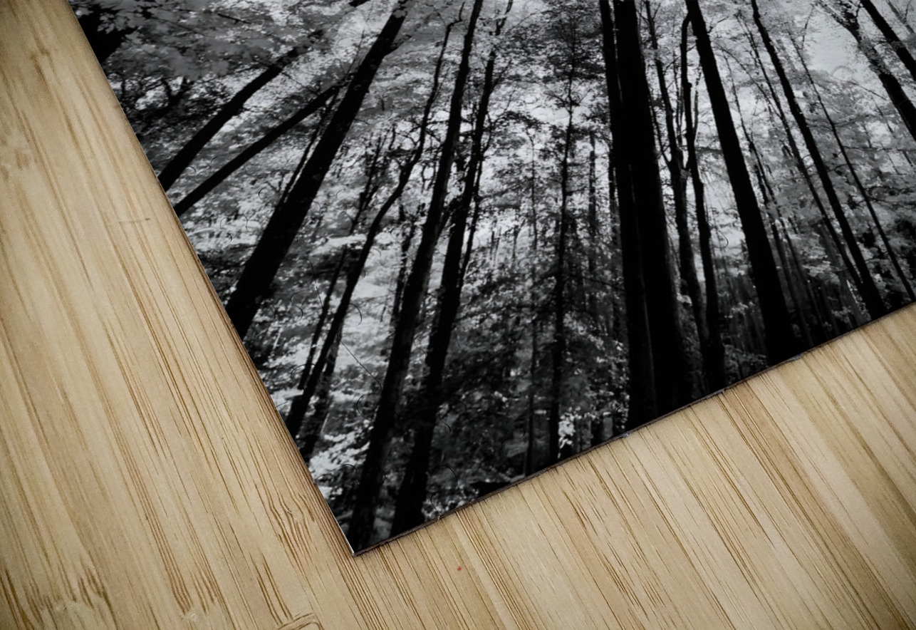 Forest Canopy Earthshine Emporium Puzzle