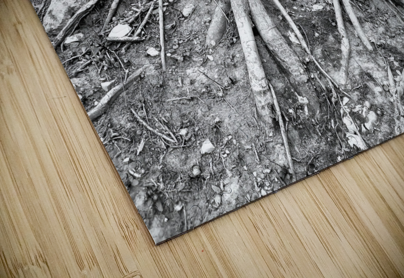 Root Flare Earthshine Emporium Puzzle